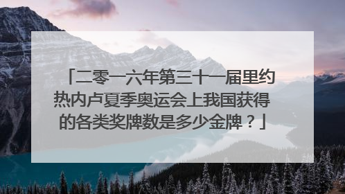 二零一六年第三十一届里约热内卢夏季奥运会上我国获得的各类奖牌数是多少金牌？