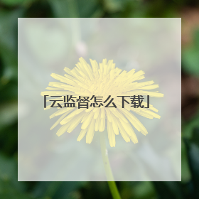 云监督怎么下载