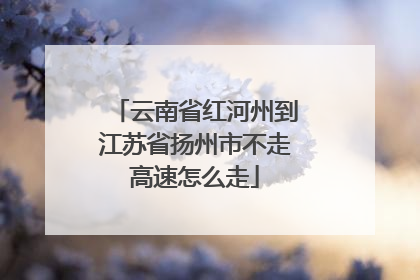 云南省红河州到江苏省扬州市不走高速怎么走