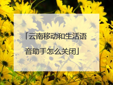 云南移动和生活语音助手怎么关闭
