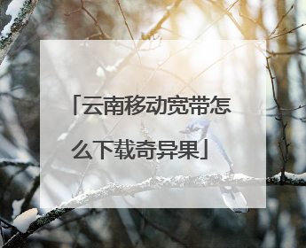 云南移动宽带怎么下载奇异果