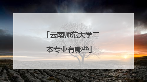 云南师范大学二本专业有哪些