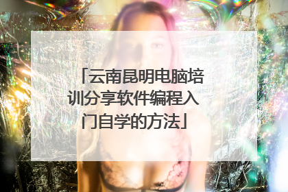 云南昆明电脑培训分享软件编程入门自学的方法