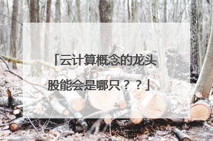 云计算概念的龙头股能会是哪只??