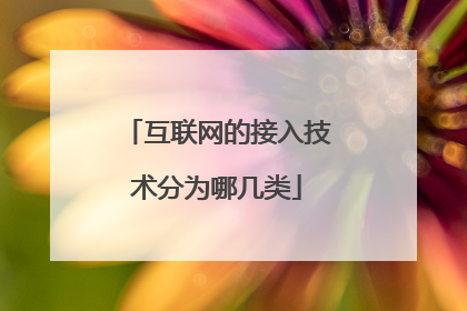 互联网的接入技术分为哪几类