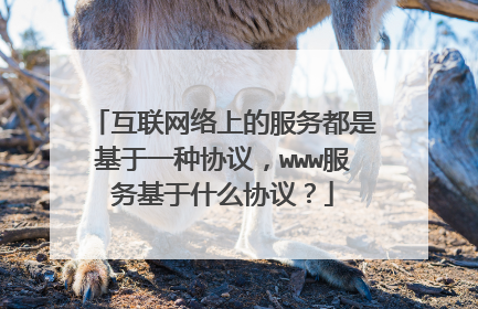 互联网络上的服务都是基于一种协议,www服务基于什么协议?