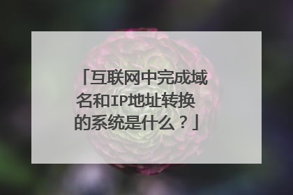 互联网中完成域名和IP地址转换的系统是什么?