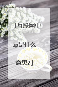 互联网中ip是什么意思?