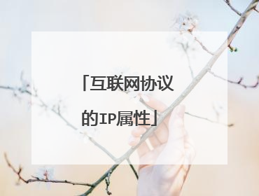 互联网协议的IP属性