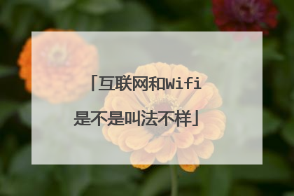 互联网和Wifi是不是叫法不样