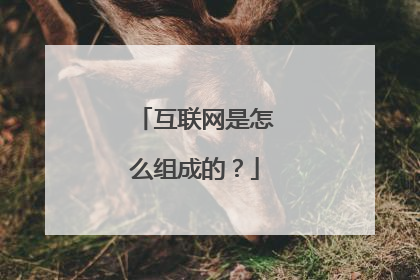 互联网是怎么组成的？