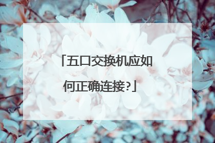 五口交换机应如何正确连接?