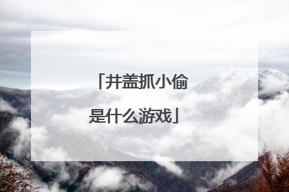 井盖抓小偷是什么游戏