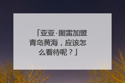 亚亚·图雷加盟青岛黄海，应该怎么看待呢？