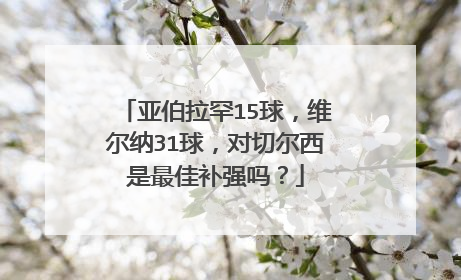 亚伯拉罕15球，维尔纳31球，对切尔西是最佳补强吗？