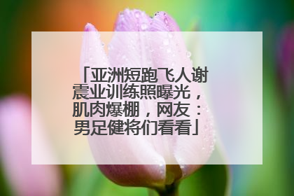亚洲短跑飞人谢震业训练照曝光,肌肉爆棚,网友:男足健将们看看
