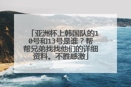 亚洲杯上韩国队的10号和13号是谁？帮帮兄弟找找他们的详细资料。不胜感激