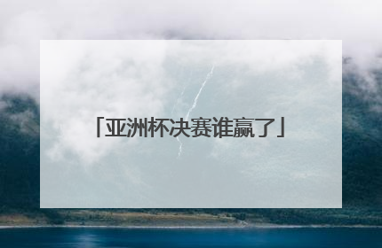 亚洲杯决赛谁赢了