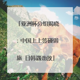 亚洲杯分组揭晓:中国上上签碰弱旅 日韩遇劲敌