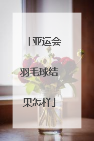 亚运会羽毛球结果怎样