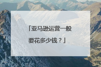 亚马逊运营一般要花多少钱?