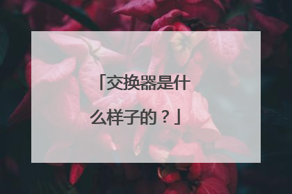 交换器是什么样子的？