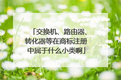交换机、路由器、转化器等在商标注册中属于什么小类啊