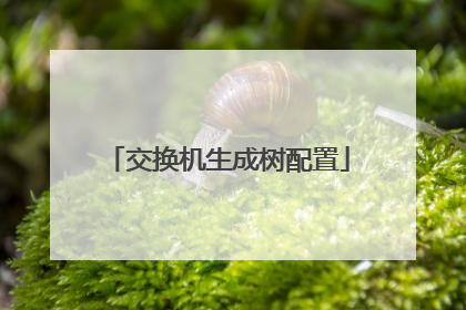 交换机生成树配置