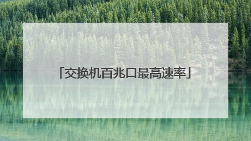 交换机百兆口最高速率