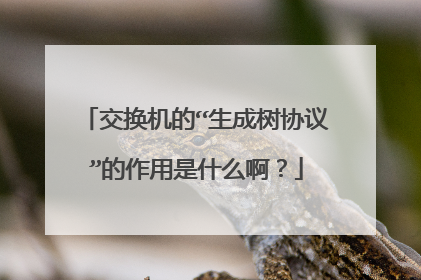 交换机的“生成树协议”的作用是什么啊？