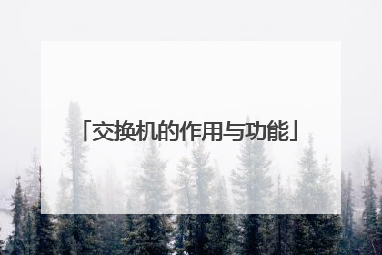 交换机的作用与功能