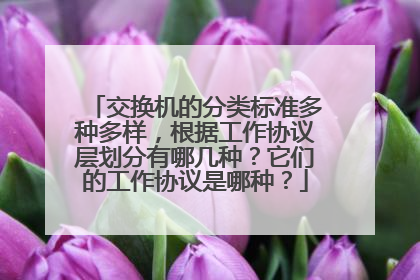 交换机的分类标准多种多样，根据工作协议层划分有哪几种？它们的工作协议是哪种？
