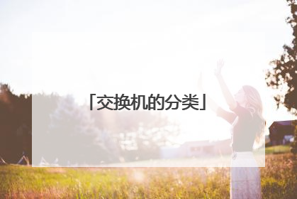 交换机的分类