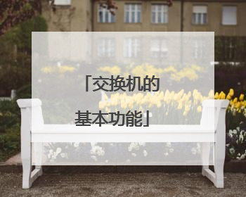 交换机的基本功能