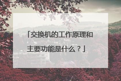 交换机的工作原理和主要功能是什么？