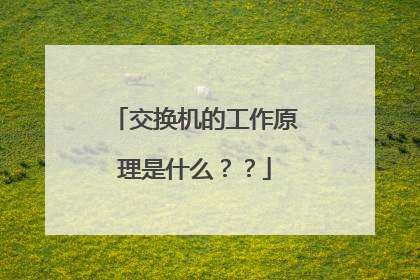 交换机的工作原理是什么？？