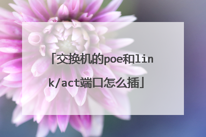 交换机的poe和link/act端口怎么插