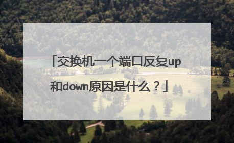 交换机一个端口反复up和down原因是什么？