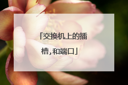 交换机上的插槽,和端口