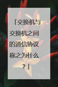 交换机与交换机之间的通信协议称之为什么？