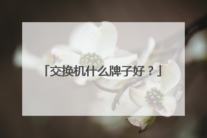 交换机什么牌子好？