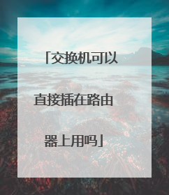 交换机可以直接插在路由器上用吗