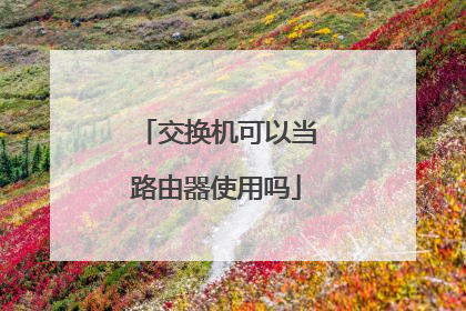 交换机可以当路由器使用吗