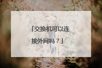 交换机可以连接外网吗？