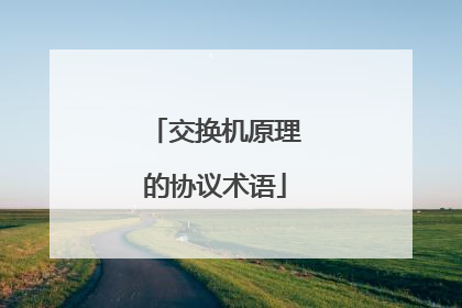 交换机原理的协议术语