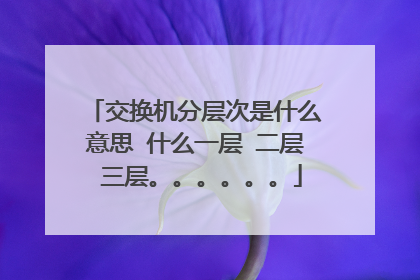 交换机分层次是什么意思 什么一层 二层 三层。。。。。。