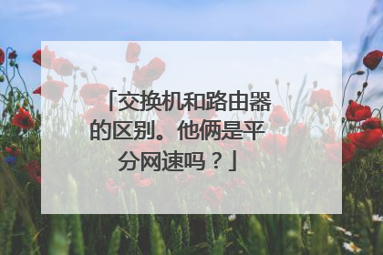 交换机和路由器的区别。他俩是平分网速吗？