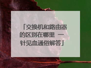 交换机和路由器的区别在哪里 一针见血通俗解答