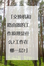 交换机和路由器的工作原理是什么?工作在哪一层?