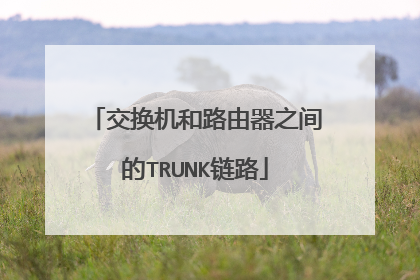 交换机和路由器之间的TRUNK链路